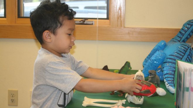 Image: Backpack Explorers – Tortoise Time