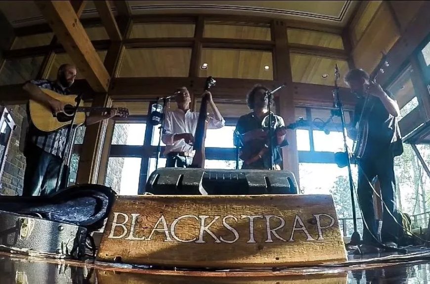 blackstrap.webp