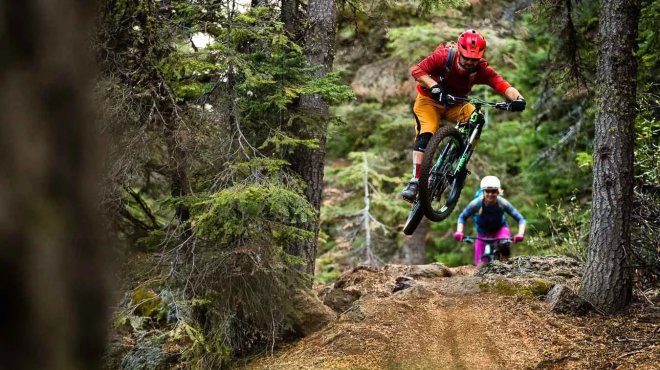 Image: Cog Wild Progression Session